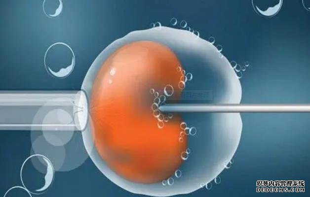 一文解讀強的松保胎的原理,強的松的這5大功效不可不知