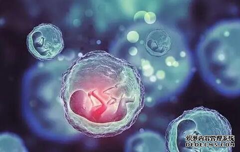 無錫供卵試管經驗 無錫904醫院生殖醫學中心 ‘懷男孩b超單圖片45天’