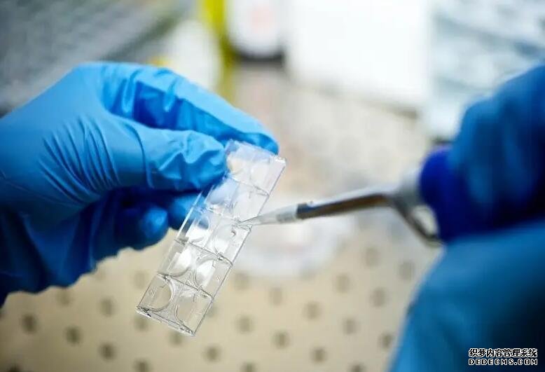 南京代孕供卵 2022南京鼓樓醫院可以做三代試管選擇胚胎男女嗎？ ‘早期酒精怎么判斷男孩女孩’