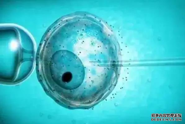 2023哈爾濱正規(guī)民營捐卵機(jī)構(gòu)火熱更新!內(nèi)附機(jī)構(gòu)選擇指南