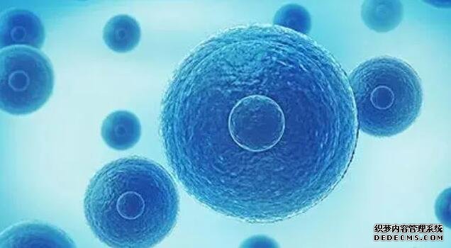 福州代生價格多少 福州總院三代試管流程及費用標準參考 ‘四維彩超通過胎心率可以看出男女嗎’