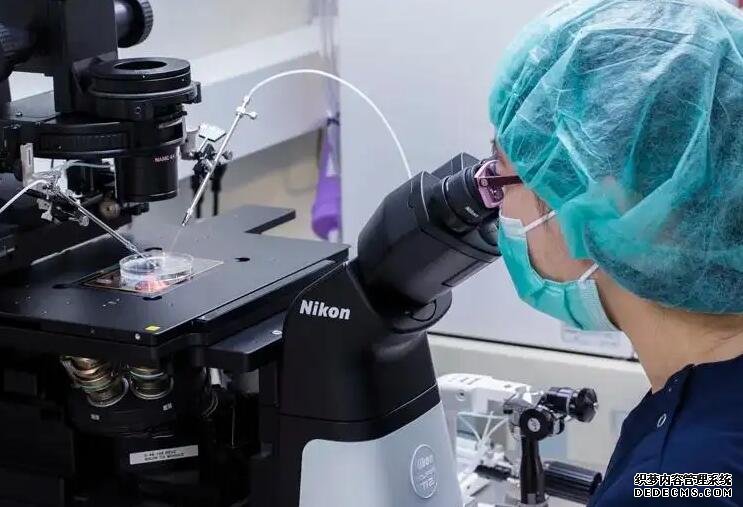 深圳合法捐卵 深圳第三代試管嬰兒成功率 ‘雙頂徑頭圍腹圍股骨長看男孩’