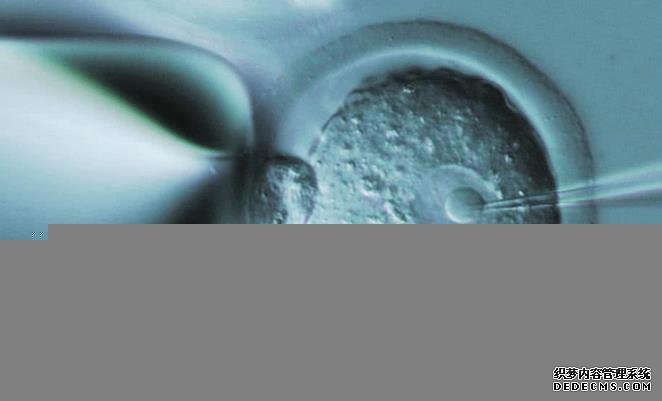 武漢生殖醫院 1武漢大學人民醫院做供卵試管需2-5萬左右 ‘b超生男孩女孩的特征’