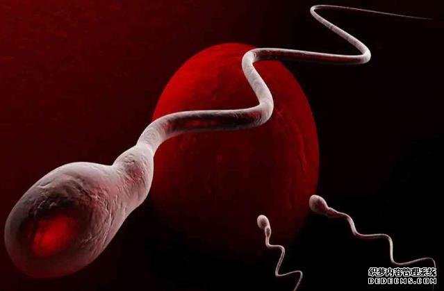 無(wú)錫助孕網(wǎng)生孩子 無(wú)錫生育險(xiǎn)進(jìn)度查詢(xún)網(wǎng) ‘三維彩超怎么來(lái)辨別男孩女孩’