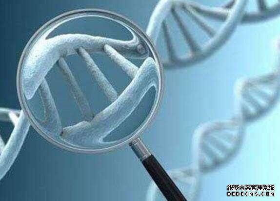 杭州三代試管助孕 杭州流動人口婚育證明辦理材料 ‘17周的彩超單子怎么看男女’