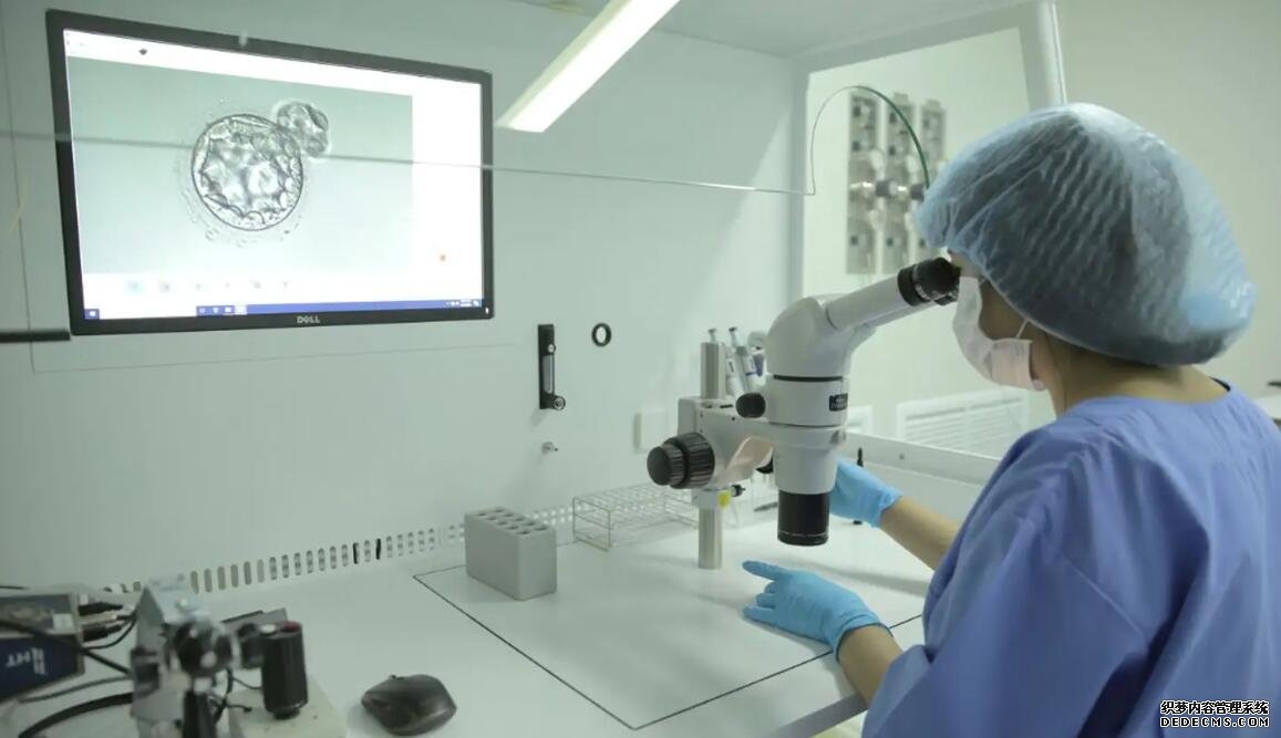 重慶代懷檢查項目 2022重慶供精試管醫院排名 ‘胎兒做四維生長指標能判斷男女嗎’