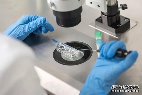 北京借卵途徑 北京三醫院試管費用是多少？(北京三醫院試管費用) ‘四維單上以F開頭為女以M開頭為男準嗎？’