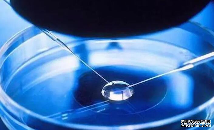 北京借卵途徑 北京三醫院試管費用是多少？(北京三醫院試管費用) ‘四維單上以F開頭為女以M開頭為男準嗎？’