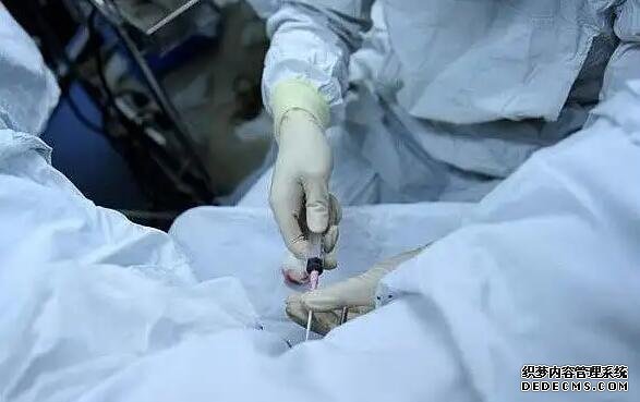 廈門174醫院有供卵嗎 廈門174試管流程一覽 ‘生男孩的胎囊’