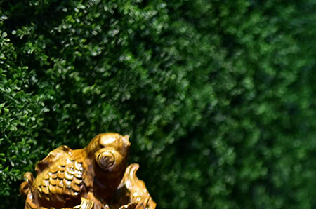 產減肥瘦身方法探討：寶媽如何重塑辣媽身材