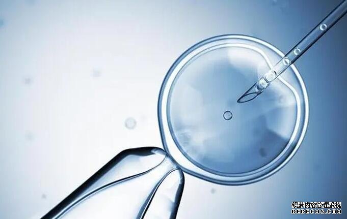 男子出差把食物給懷孕老婆都備好,試管移植后要怎么吃好呢?