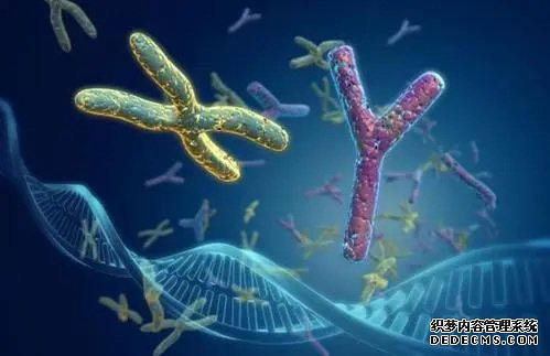 廣東捐卵代理 廣東178天產假只發基本工資嗎? ‘做b超看男女,男孩兒得那個部位是亮得嗎?’