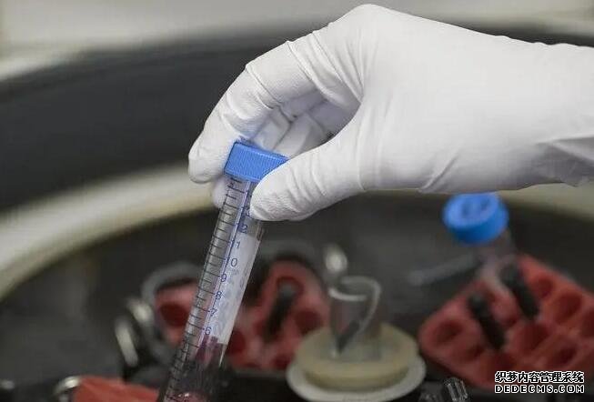 武漢代孕費用 2022武漢哪家醫院做試管嬰兒成功率最高? ‘孕囊3.2*2.7男孩女孩’