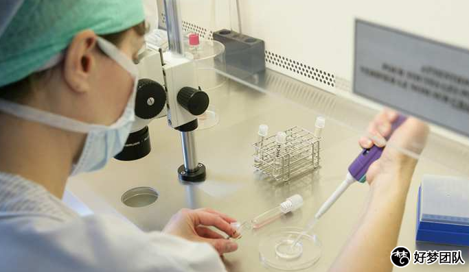 上海供卵試管孩子要多少錢?上海供卵試管公司