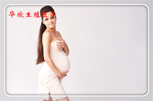 上海做試管嬰兒可選男女嗎醫(yī)生?預約上海試管嬰兒