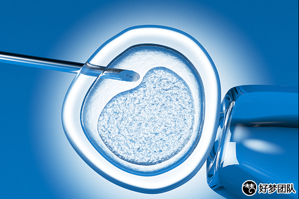 上海供卵試管費用,上海去供卵試管中心怎么樣?