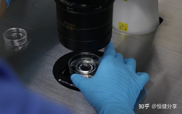 廣東試管嬰兒成功率如何？,廣東試管嬰兒成功率是多少