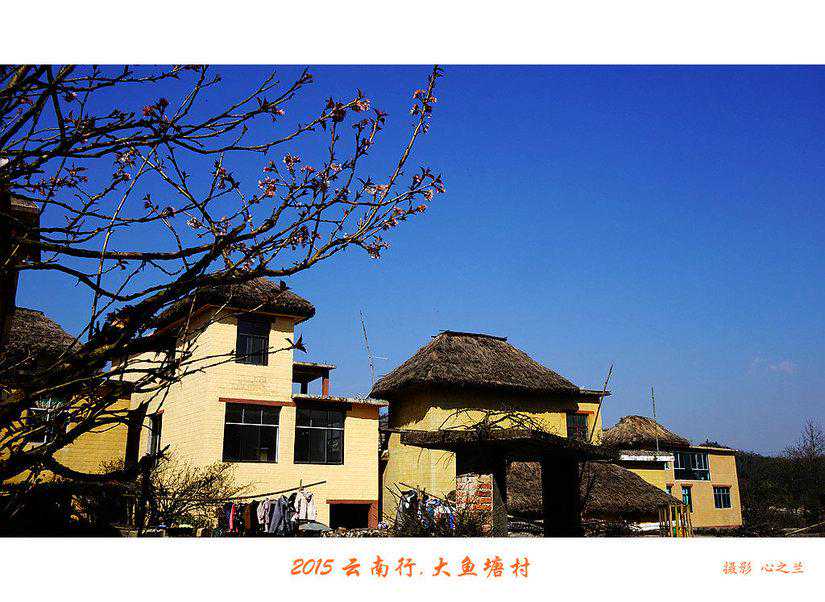 地中海貧血：疾病的全面解析與嚴重性探討