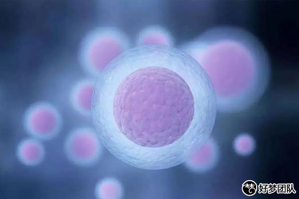 助孕專科聯盟來助孕，讓患者少走冤枉路