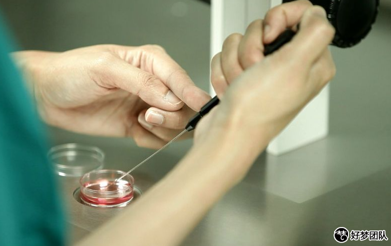 上海正規(guī)三代試管嬰兒多少錢?上海合法供卵試管嬰兒中心在哪