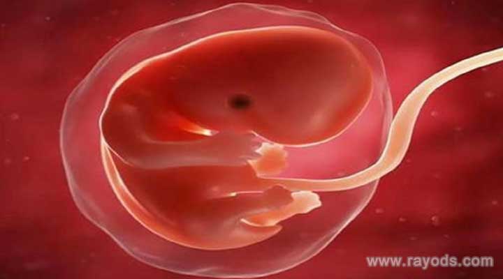 天津借供卵試管的醫院,有天津供卵試管嗎現在?