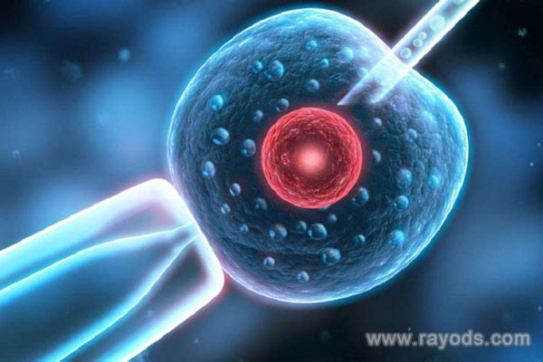 上海試管嬰兒就上海坤和,女人42歲做試管嬰兒成功率