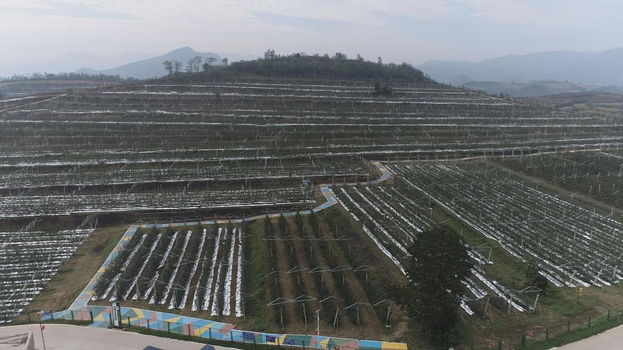 新生兒頻繁打嗝的成因與對(duì)策