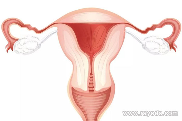 輸卵管疾病的治療方式