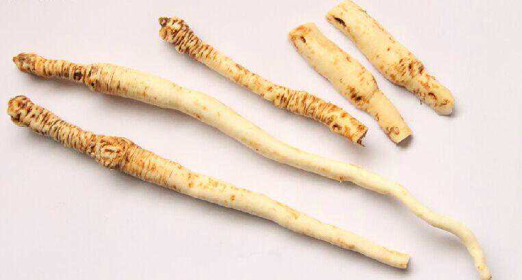 音樂的魅力:陶醉人心,愉悅心情