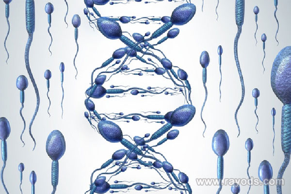 供卵助孕網(wǎng),代懷試管費(fèi)用