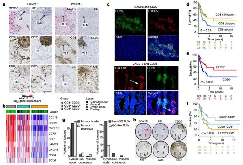 寶寶神經(jīng)發(fā)育緩慢？快來試試這些小游戲，助力寶寶神經(jīng)反應(yīng)發(fā)展