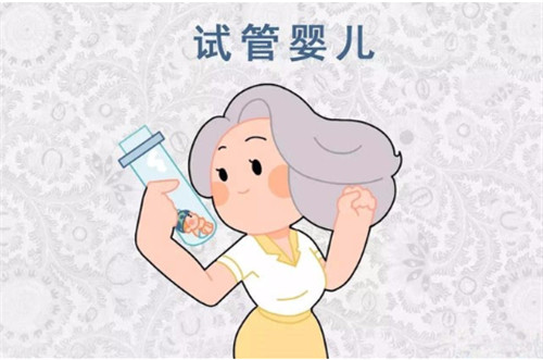 供卵試管公司,供卵試管費用