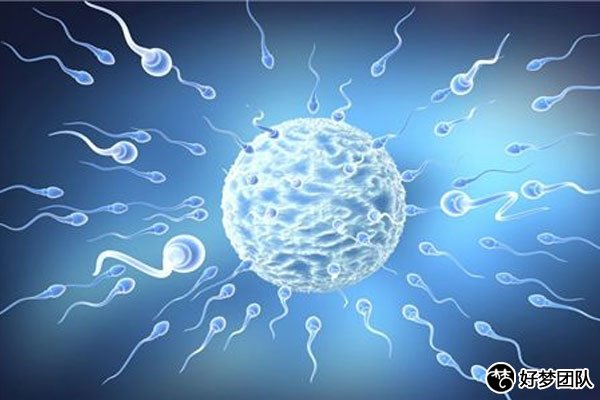 哈薩克斯坦試管嬰兒