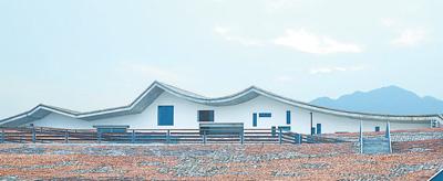 3歲孩子適合參加哪些體育活動(dòng)？體育活動(dòng)推薦與注意事項(xiàng)