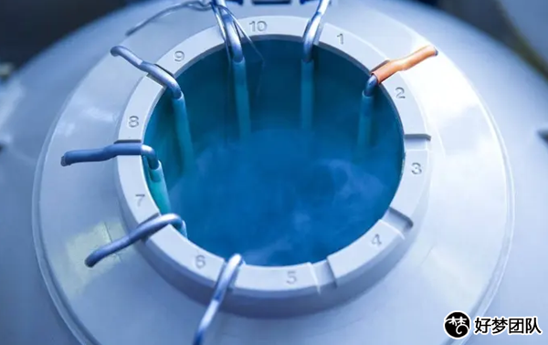 上海供卵試管代懷價格表,上海供卵試管周期多久啊