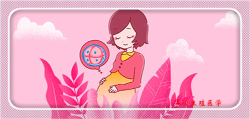 上海哪些醫院可以做供卵試管嬰兒手術,上海試管嬰兒 價格