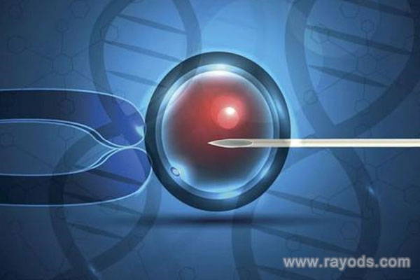 三代試管哪里有,代孕供卵