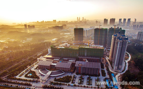 上海試管嬰兒成功率較高