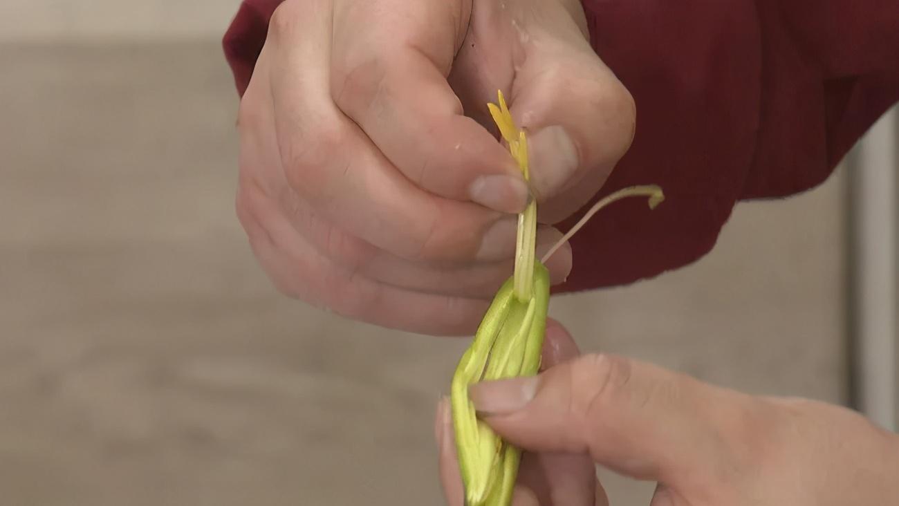 寶寶春天濕氣重？媽媽快試試這些祛濕妙招