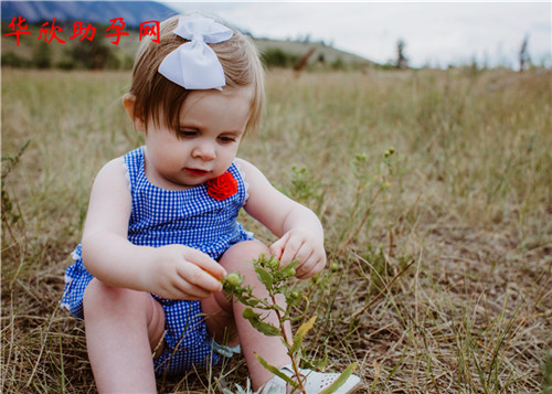 上海供卵試管醫院價格表最新,上海供卵試管醫院價格查詢