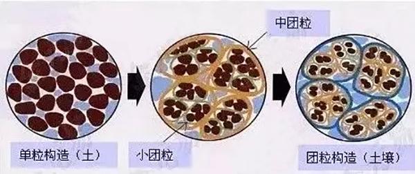 處理新生兒臍炎的方法及注意事項