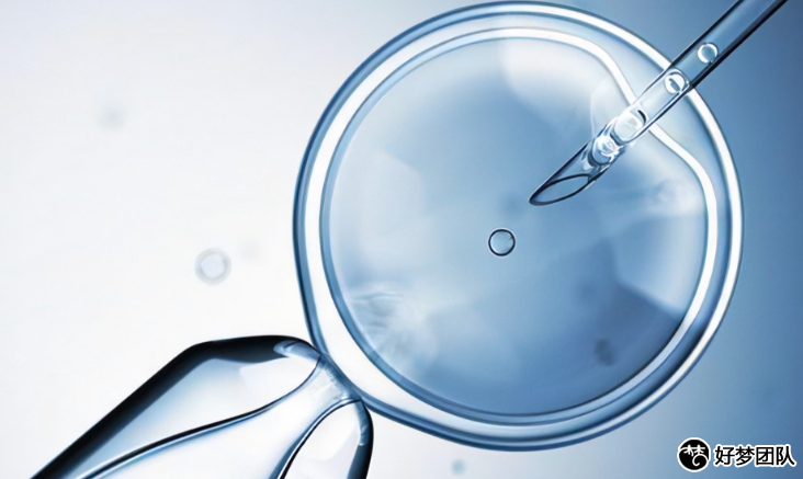 上海試管助孕咨詢中心哪家好,42歲去上海做試管助孕多少錢?