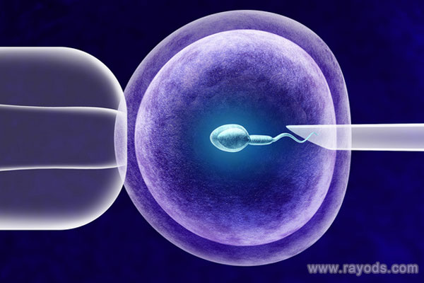 上海醫(yī)院供卵試管嬰兒成功率,上海三代試管嬰兒失敗率多少?