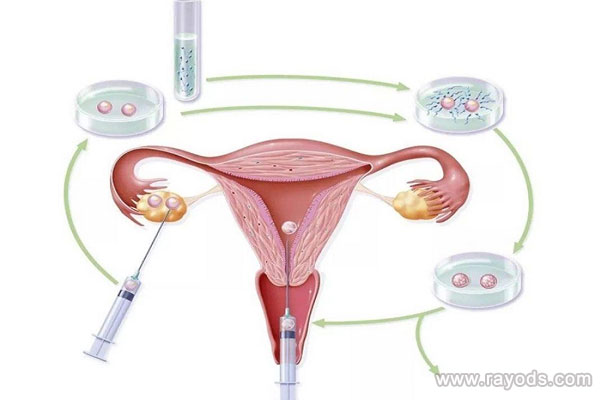 賀美奇的副作用