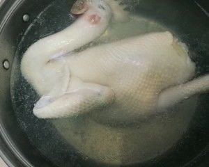 勇敢地智慧地學會拒絕