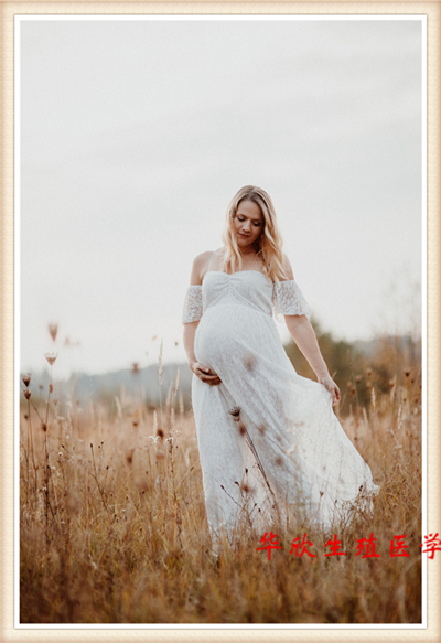 代懷試管費(fèi)用,供卵多少錢(qián)?