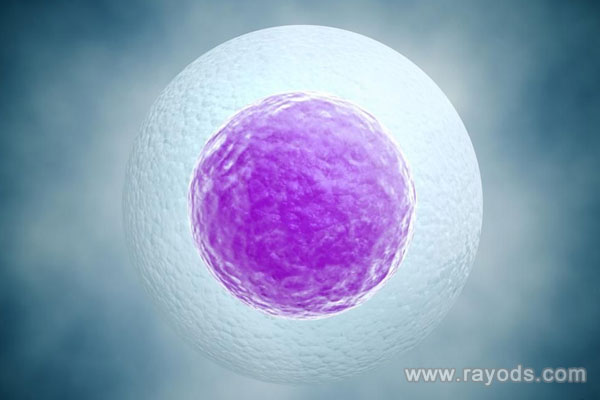 多卵巢多囊能試管嬰兒,上海試管嬰兒雙胞胎的費用多少?