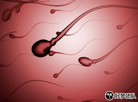 供卵試管多少錢?廣州供卵試管費用