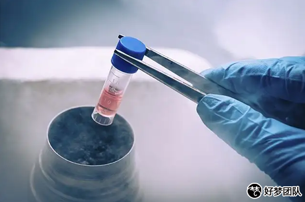 上海個人供卵試管電話查詢,上海成功供卵試管醫院