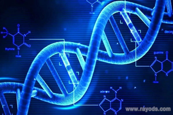 關于云大醫院的基本介紹